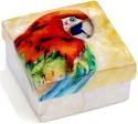 Kubla Crafts Capiz 1711 Capiz Box Macaw