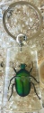 Kubla Crafts Bejeweled Enamel 7530KR Green Beetle Key Ring