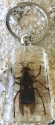 Kubla Crafts Bejeweled Enamel 7532 Tiger Wasp Key Ring