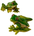Animals - Frogs