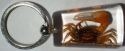 Kubla Crafts Cloisonne 7525BN Light Brown Crab Key Ring