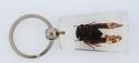 Kubla Crafts Bejeweled Enamel 7533 Cicada Key Ring