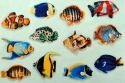 Kubla Crafts Soft Sculpture 7810 Large Plush Fish Set of 12
