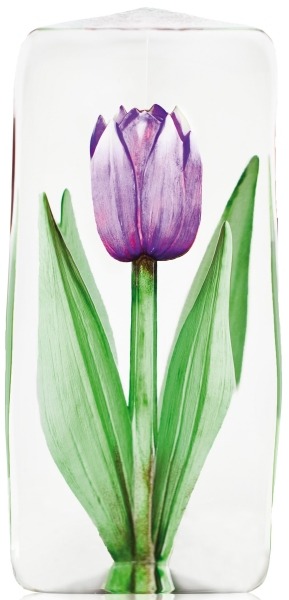Maleras Crystal 33875 Tulip Purple NA Exclusive