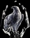 Mats Jonasson Crystal 33351 Bald Eagle North America Exclusive