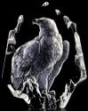 Maleras Crystal 33351 Bald Eagle NA Exclusive - NoFreeShip