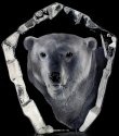 Mats Jonasson Crystal 33361 Polar Bear's Head - NoFreeShip