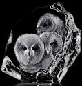 Mats Jonasson Crystal 33537 Owlets - NoFreeShip