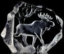 Maleras Crystal 33566 Bull Moose - NoFreeShip