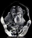 Mats Jonasson Crystal 33569 Chimpanzee