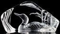 Maleras Crystal 33571 Common Loon - NoFreeShip