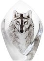 Maleras Crystal 33862 Wolf - NoFreeShip
