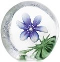 Mats Jonasson Crystal 33920 Windflower Blue - NoFreeShip