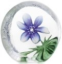 Maleras Crystal 33920 Windflower Blue - NoFreeShip