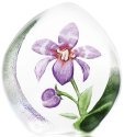 Mats Jonasson Crystal 33921 Orchid Purple - NoFreeShip