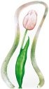 Maleras Crystal 34013 Tulip Pink Large - NoFreeShip