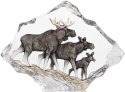 Mats Jonasson Crystal 34068 Moose Family - NoFreeShip