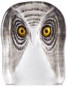 Mats Jonasson Crystal 34105 Owl Painted Medium - NoFreeShip