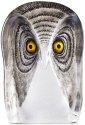 Mats Jonasson Crystal 34106 Owl Painted Large
