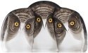 Mats Jonasson Crystal 34107 Three Owls Painted