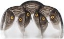 Mats Jonasson Crystal 34107 Three Owls Painted - NoFreeShip