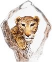 Mats Jonasson Crystal 34113 Leopard Limited Edition - NoFreeShip