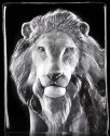 Maleras Crystal 34127 Lion - NoFreeShip