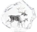 Mats Jonasson Crystal 34150 Reindeer with calf Limited Edition