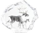 Maleras Crystal 34150 Reindeer with calf Limited Edition - NoFreeShip