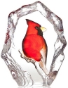 Mats Jonasson Crystal 34264 Cardinal - NoFreeShip