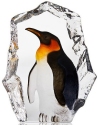 Mats Jonasson Crystal 34272 Emperor Penguin