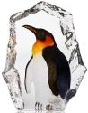 Maleras Crystal 34272 Emperor Penguin - NoFreeShip