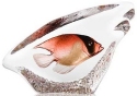 Mats Jonasson Crystal 34293 Orange Coral Fish - NoFreeShip