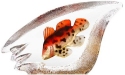 Maleras Crystal 34298 Orange Coral Fish - NoFreeShip