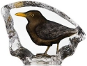 Mats Jonasson Crystal 34301 Blackbird - NoFreeShip