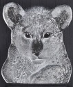 Mats Jonasson Crystal 63061 Mini Lion Cub Wall Sculpture - NoFreeShip