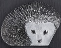 Maleras Crystal 63066 Mini Hedgehog Wall Sculpture