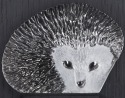 Maleras Crystal 63066 Mini Hedgehog Wall Sculpture - NoFreeShip