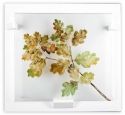 Mats Jonasson Crystal 63083 Oak Leaves - Limited Edition - NoFreeShip