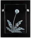 Mats Jonasson Crystal 63084N Dandelion - Limited Edition