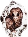 Maleras Crystal 88177 Miniature Owl - NoFreeShip