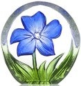 Maleras Crystal 88219 Miniature Anemone Blue - NoFreeShip