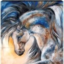 Marcia Baldwin 21002 Midnight Spirit VI Wall Art