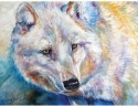Marcia Baldwin 23500 White Wolf Wall Art