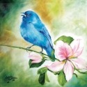 Marcia Baldwin 23508 Bluebird Canvas Wall Art 15X15