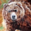 Marcia Baldwin 23511 Grizzly Bear Canvas Wall Art 15X15