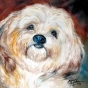 Marcia Baldwin 23512 Shaggy Dog Canvas Wall Art 15X15