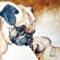 Marcia Baldwin 23513 Two Pugs Canvas Wall Art 15X15