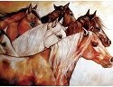 Marcia Baldwin 23542 Power of Six Canvas Wall Art 12X16