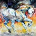 Marcia Baldwin 23556 The Stallion Prance Canvas Art 15X15